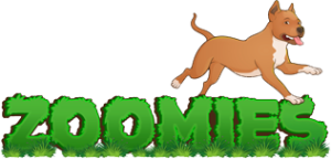 Zoomies Essex